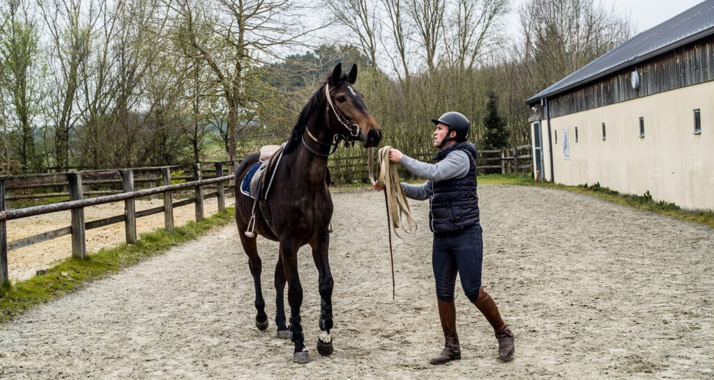 Valentin Mainier travaillant avec un jeune cheval pour la première fois.